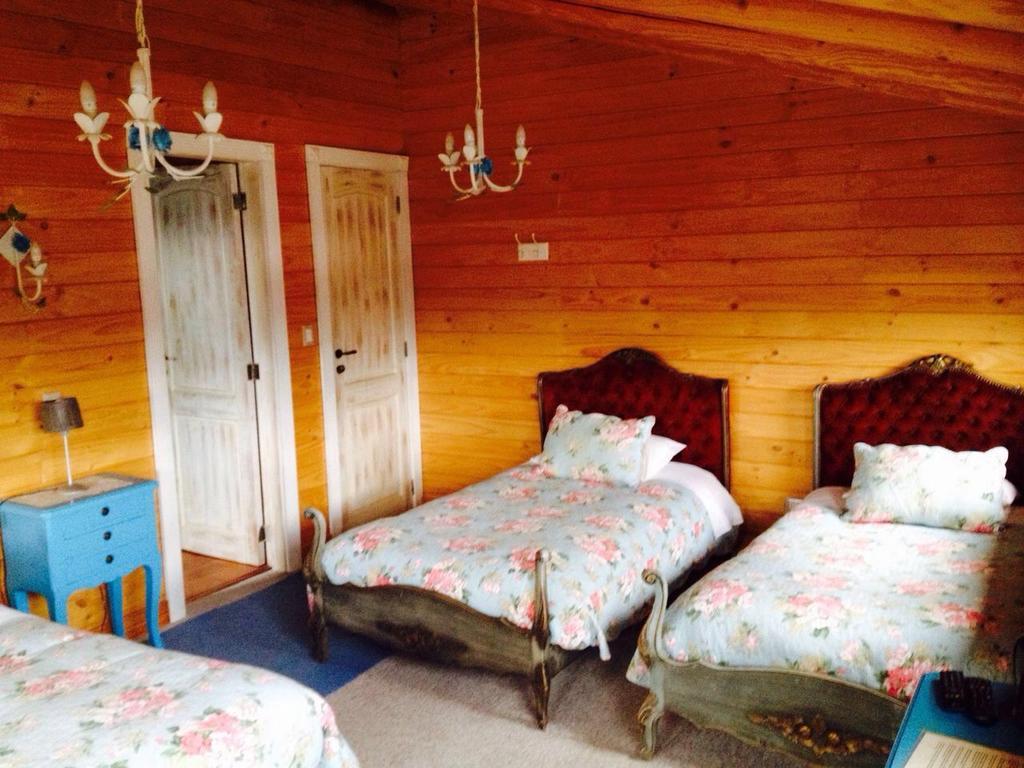 B&B De German Пукон Екстер'єр фото